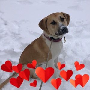 Meet your Posher, Karen